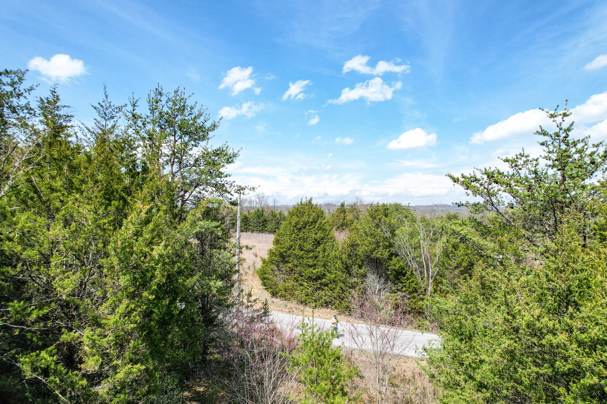 511 Porter Kite Road, Unit 8 & 11 Mohawk, TN 37810 - Photo 3 of 14 DJI_0817