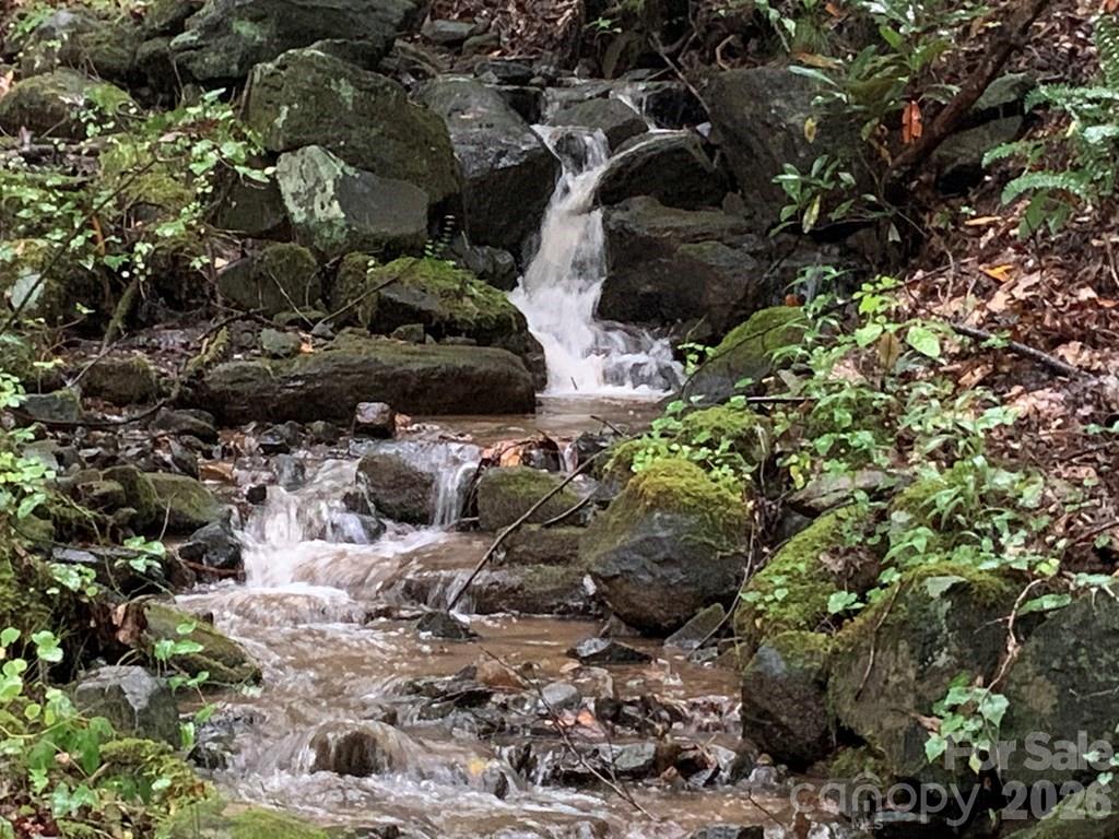 1022 Coweeta Gap Road Otto, NC 28763 - Photo 17 of 37