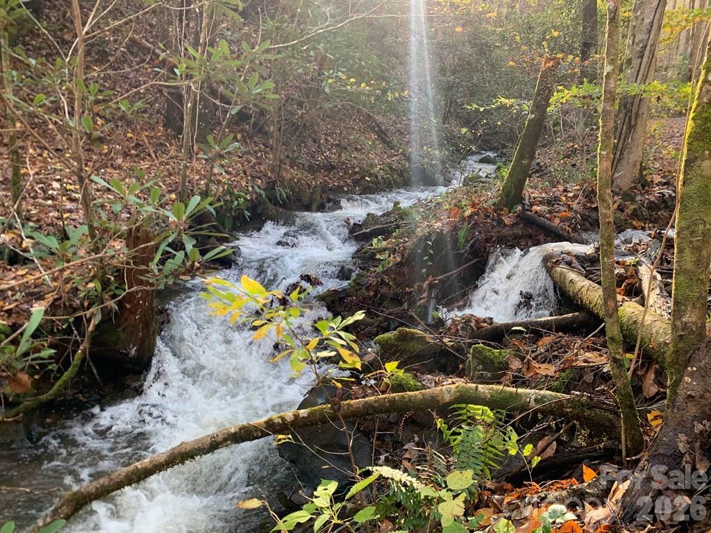 1022 Coweeta Gap Road Otto, NC 28763 - Photo 18 of 37