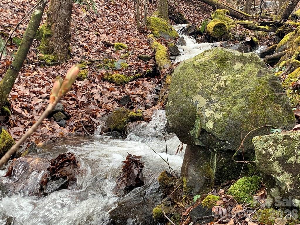 1022 Coweeta Gap Road Otto, NC 28763 - Photo 20 of 37