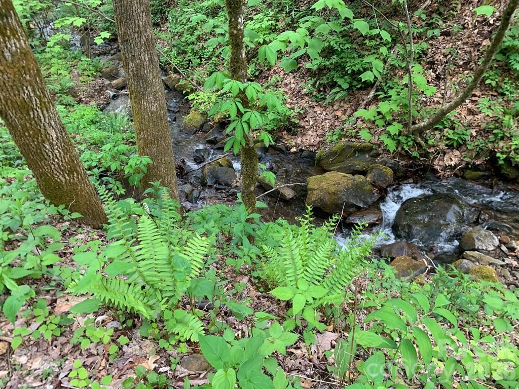 1022 Coweeta Gap Road Otto, NC 28763 - Photo 22 of 37