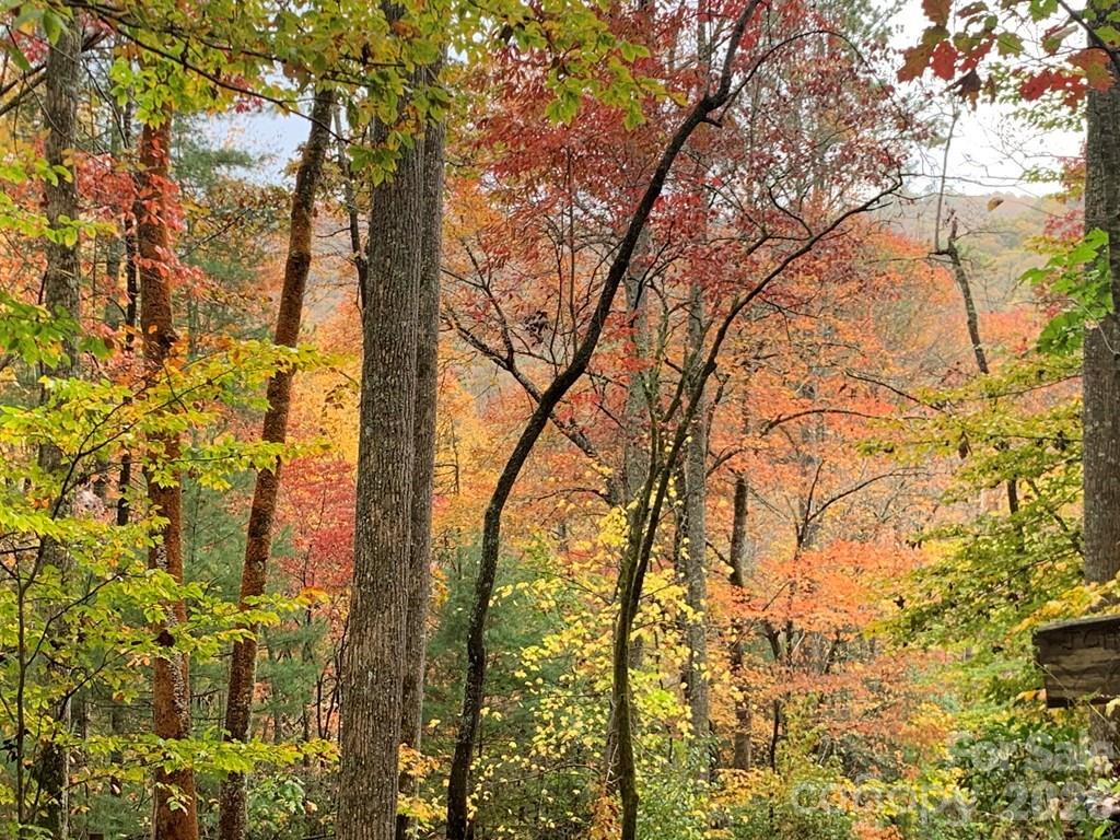 1022 Coweeta Gap Road Otto, NC 28763 - Photo 24 of 37