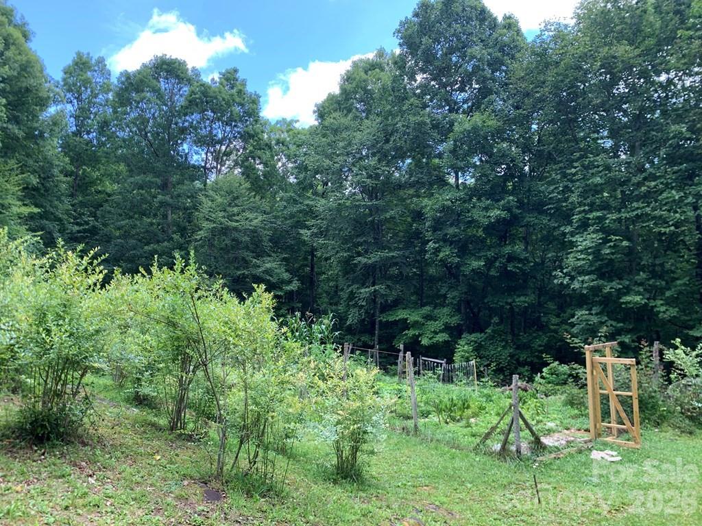 1022 Coweeta Gap Road Otto, NC 28763 - Photo 25 of 37