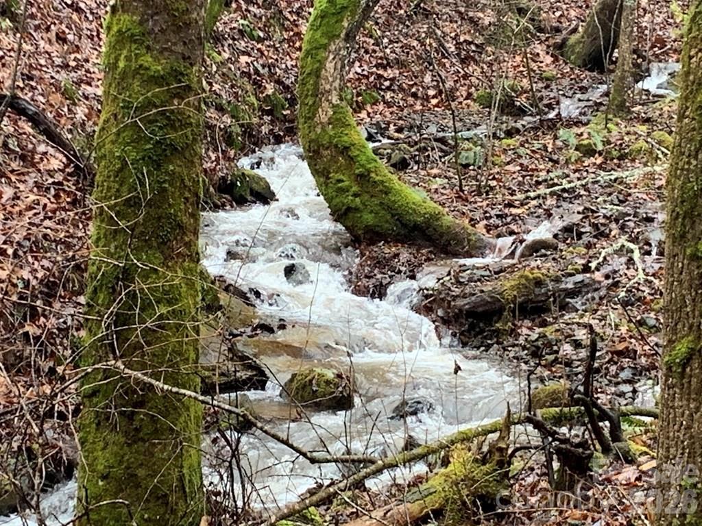 1022 Coweeta Gap Road Otto, NC 28763 - Photo 26 of 37