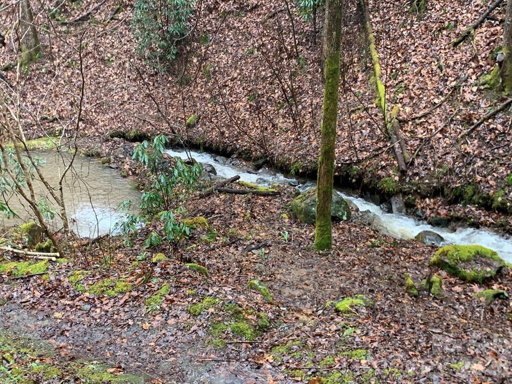 1022 Coweeta Gap Road Otto, NC 28763 - Photo 27 of 37