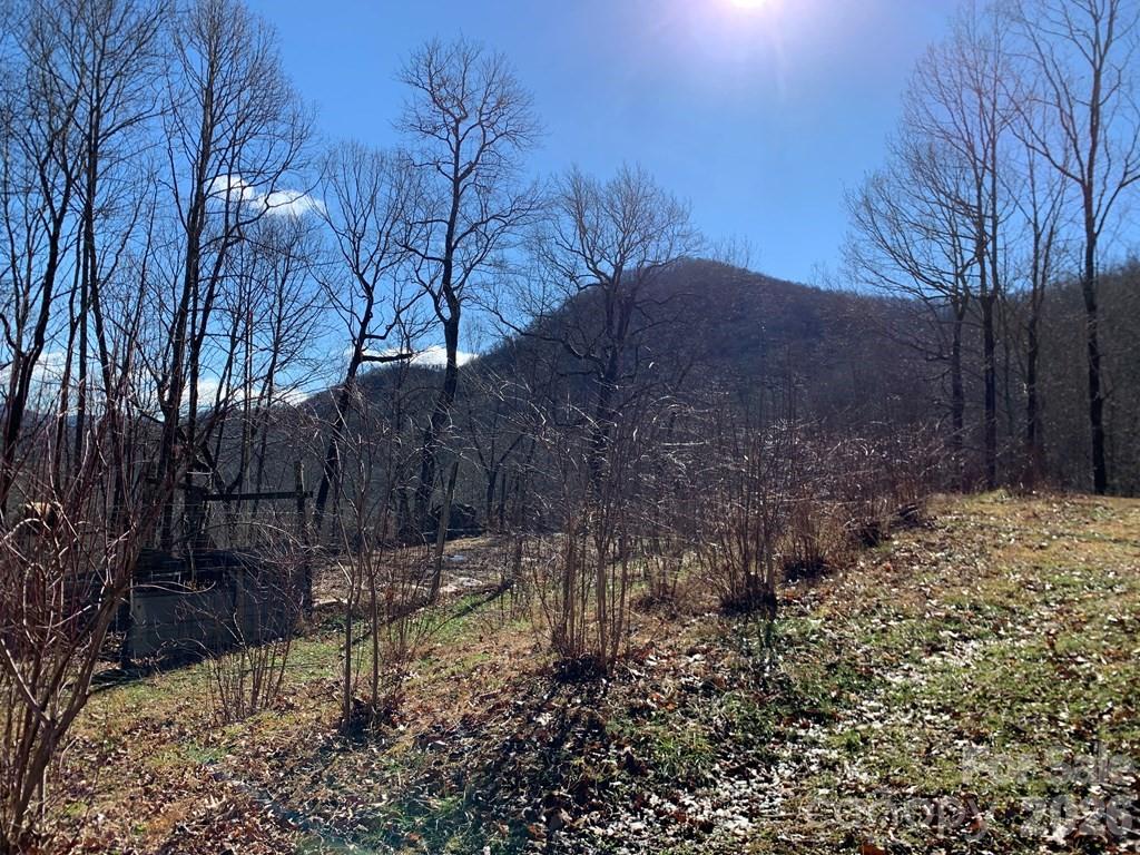 1022 Coweeta Gap Road Otto, NC 28763 - Photo 29 of 37