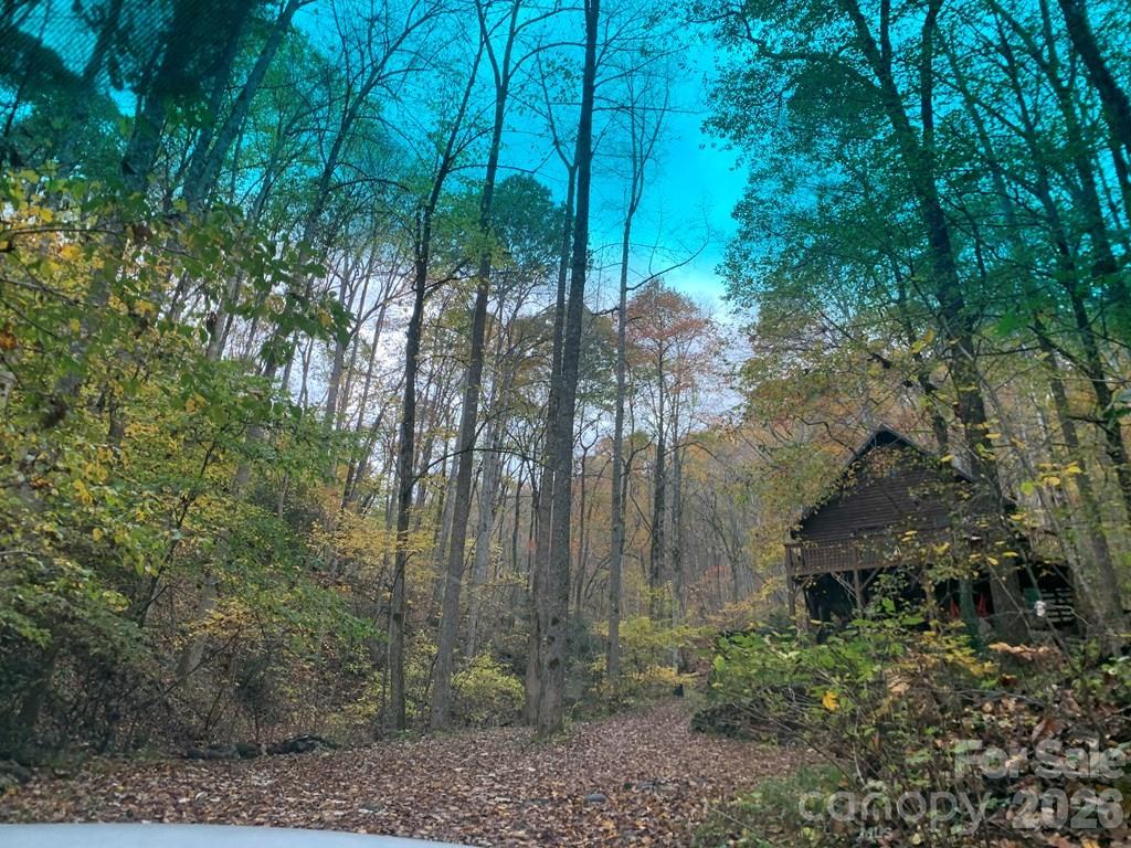 1022 Coweeta Gap Road Otto, NC 28763 - Photo 32 of 37