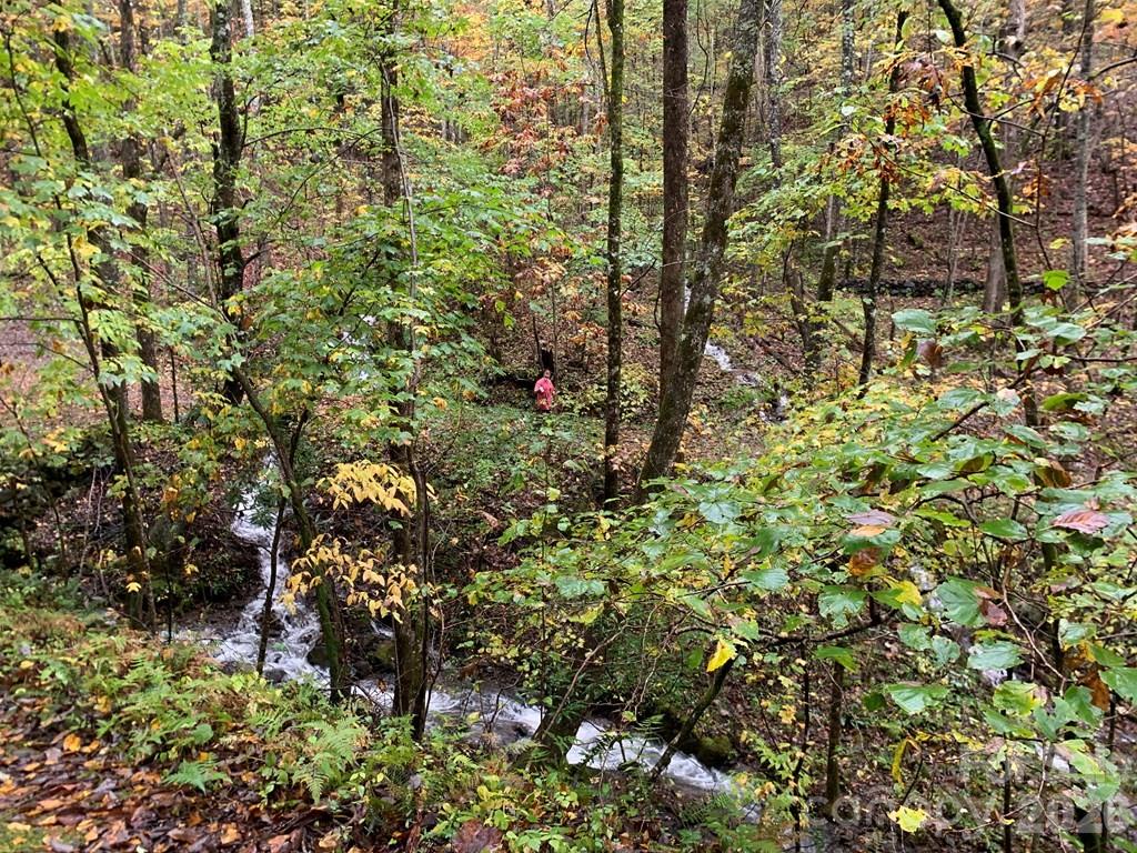 1022 Coweeta Gap Road Otto, NC 28763 - Photo 33 of 37