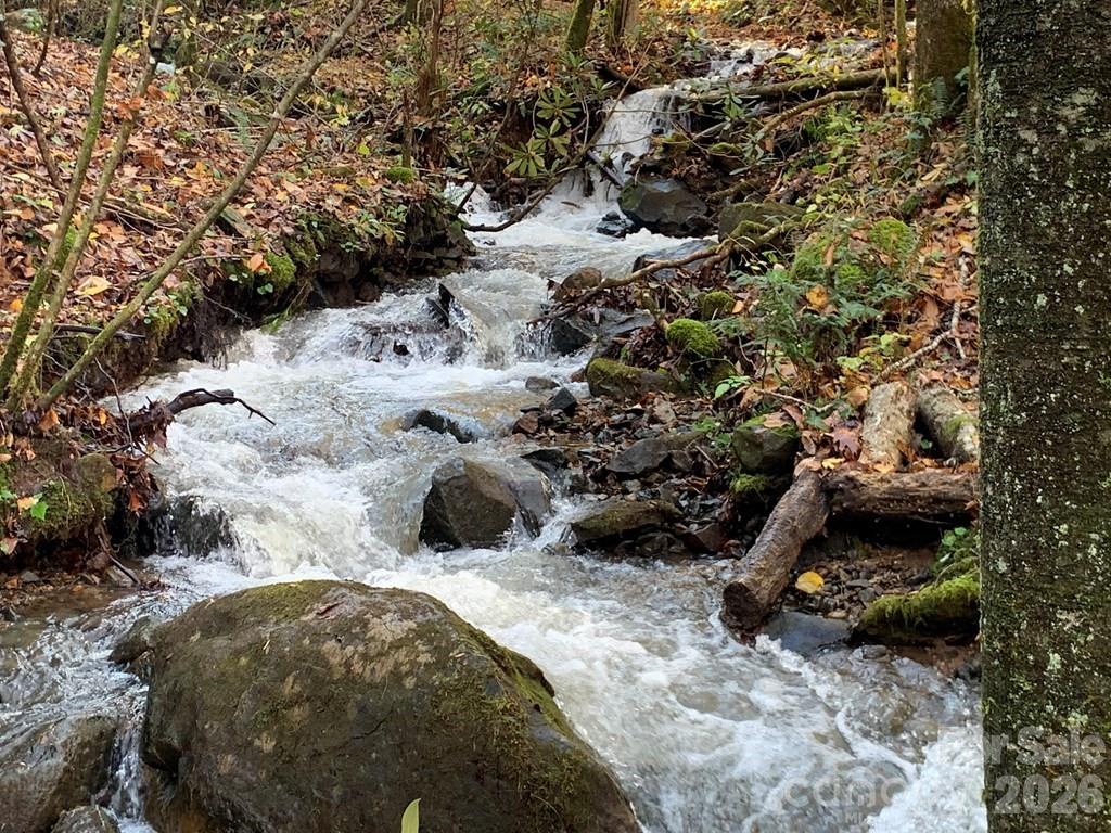 1022 Coweeta Gap Road Otto, NC 28763 - Photo 34 of 37