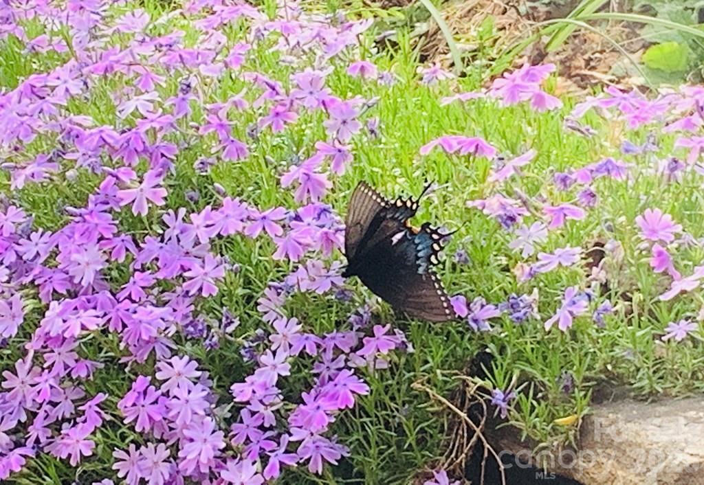 1022 Coweeta Gap Road Otto, NC 28763 - Photo 36 of 37