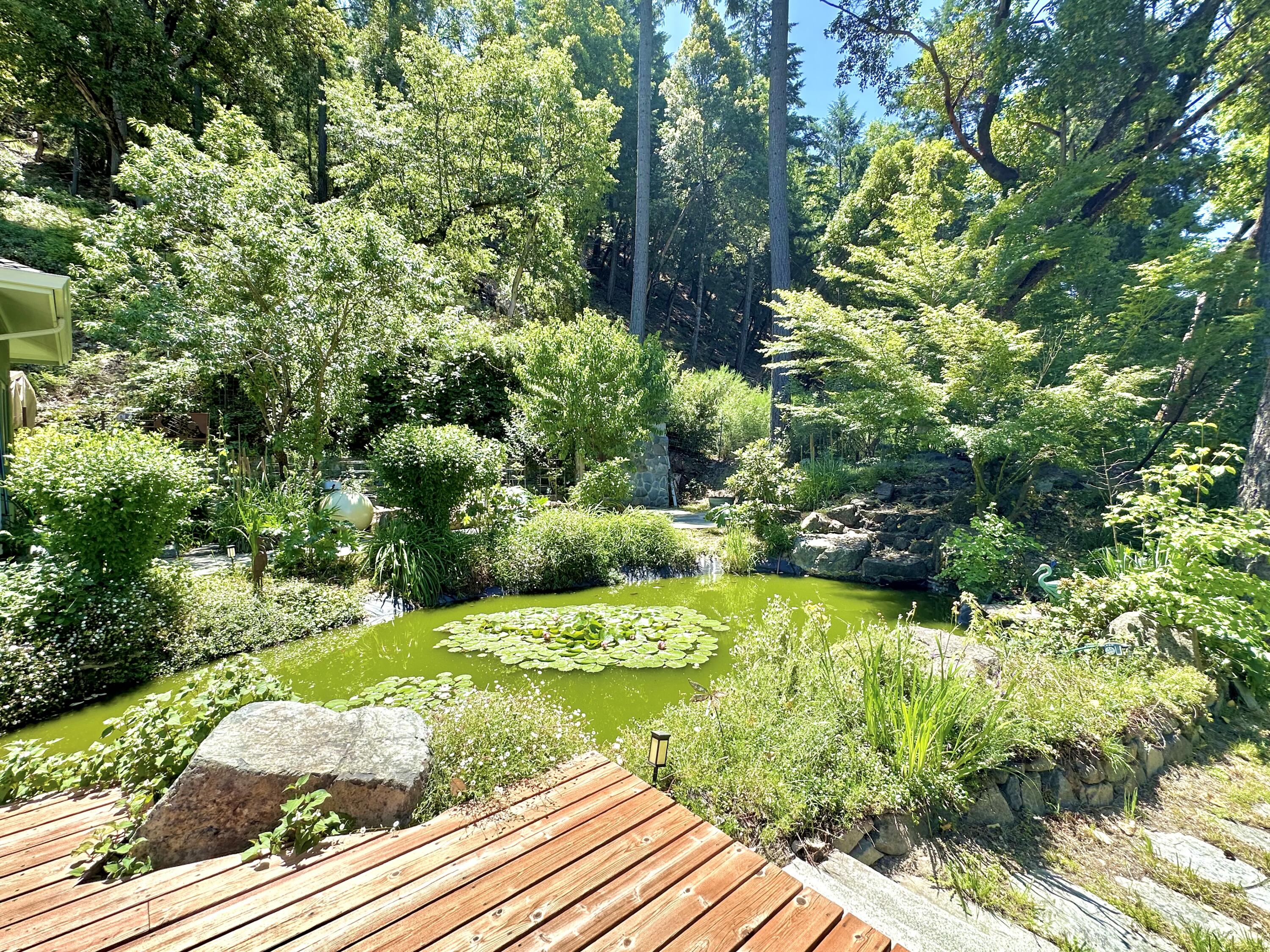 1665 Seeley Mc Intosh Road Willow Creek, CA 95573 - Photo 38 of 76