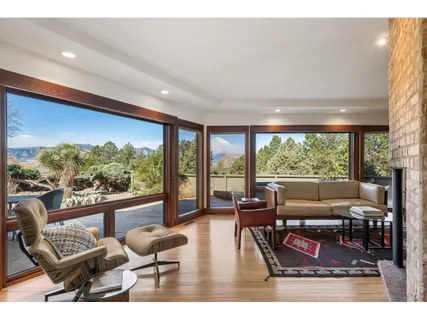 a living room with furniture a rug potted plant and a large window