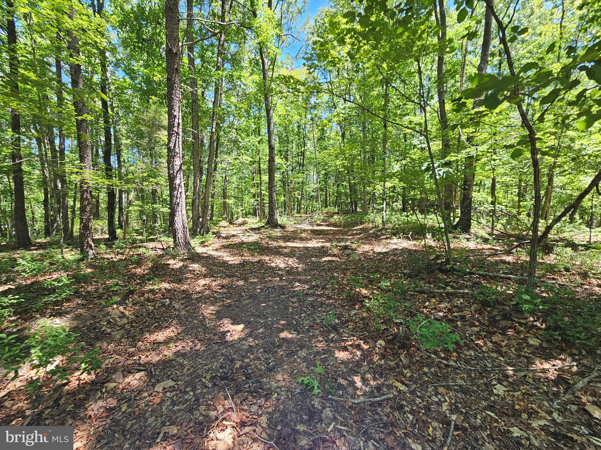 15-ac Manteo Road Buckingham, VA 23921 - Photo 10 of 18