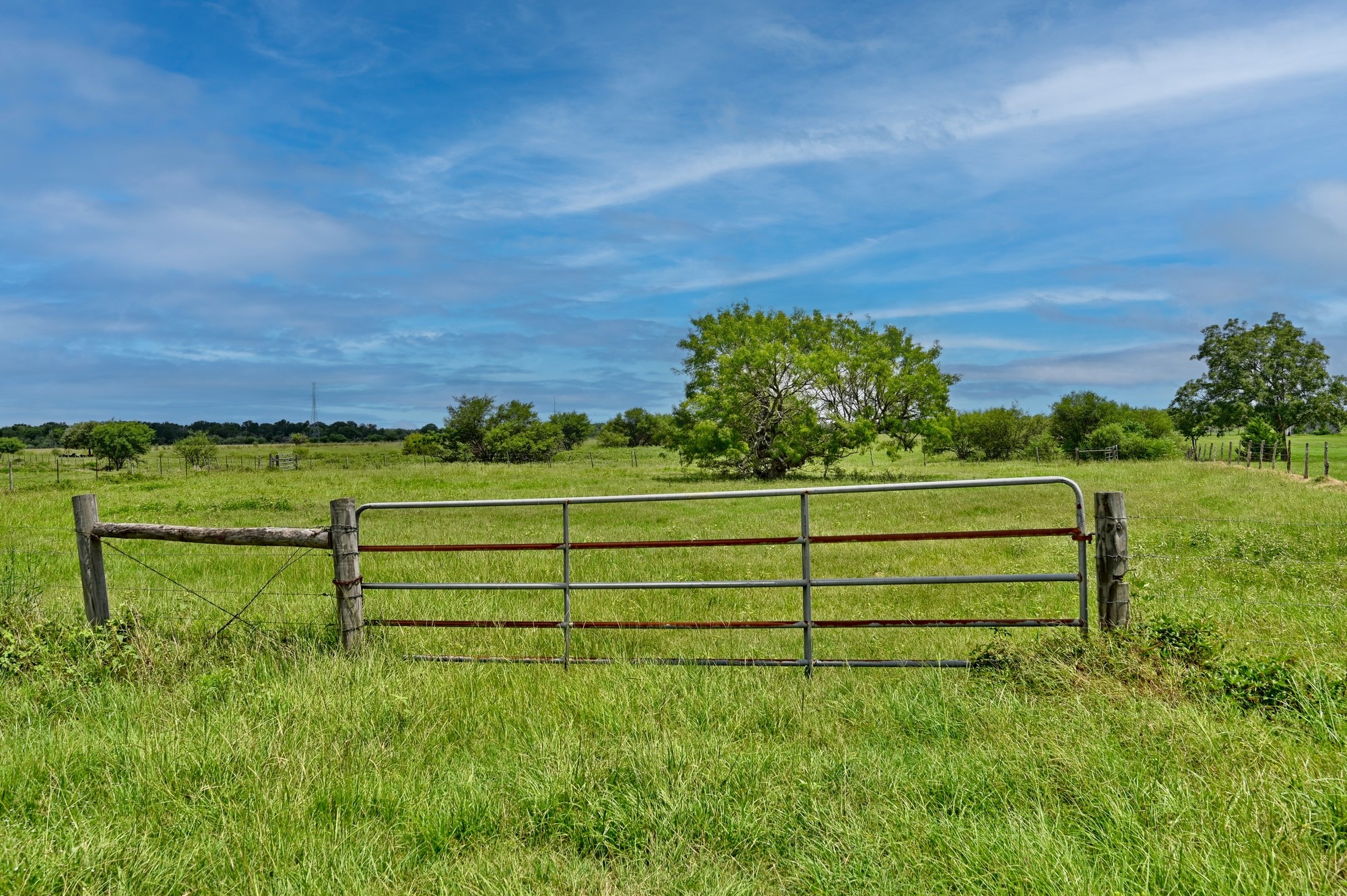 0 Lisa May Road Bellville, TX 77418 - Photo 2 of 14 a view of a bench in a field of grass and trees in the background