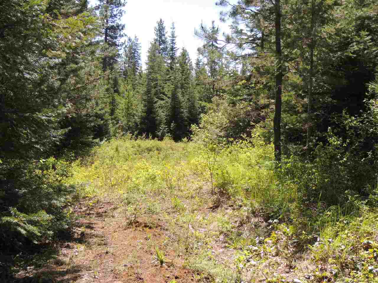 3-xx4 West Jump Off Joe Road Valley, WA 99181 - Photo 1 of 4 Gallery Image 1
