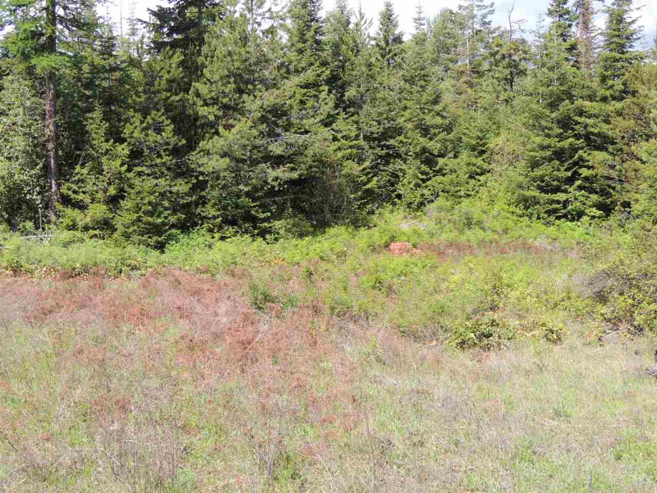 3-xx4 West Jump Off Joe Road Valley, WA 99181 - Photo 4 of 4 Gallery Image 4