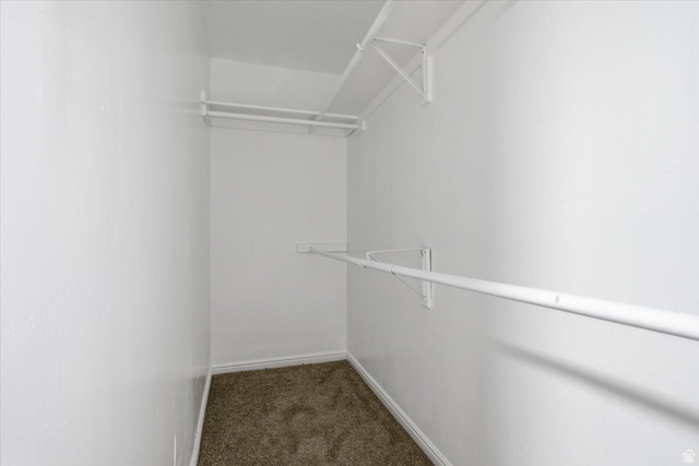 4496 West 11800 South South Jordan, UT 84009 - Photo 18 of 33 Walk in closet with dark colored carpet