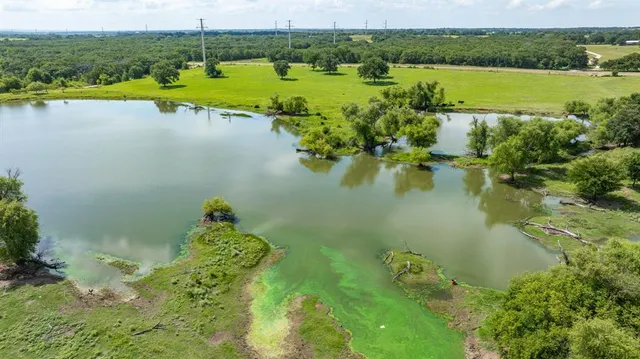 a view of a lake with a city