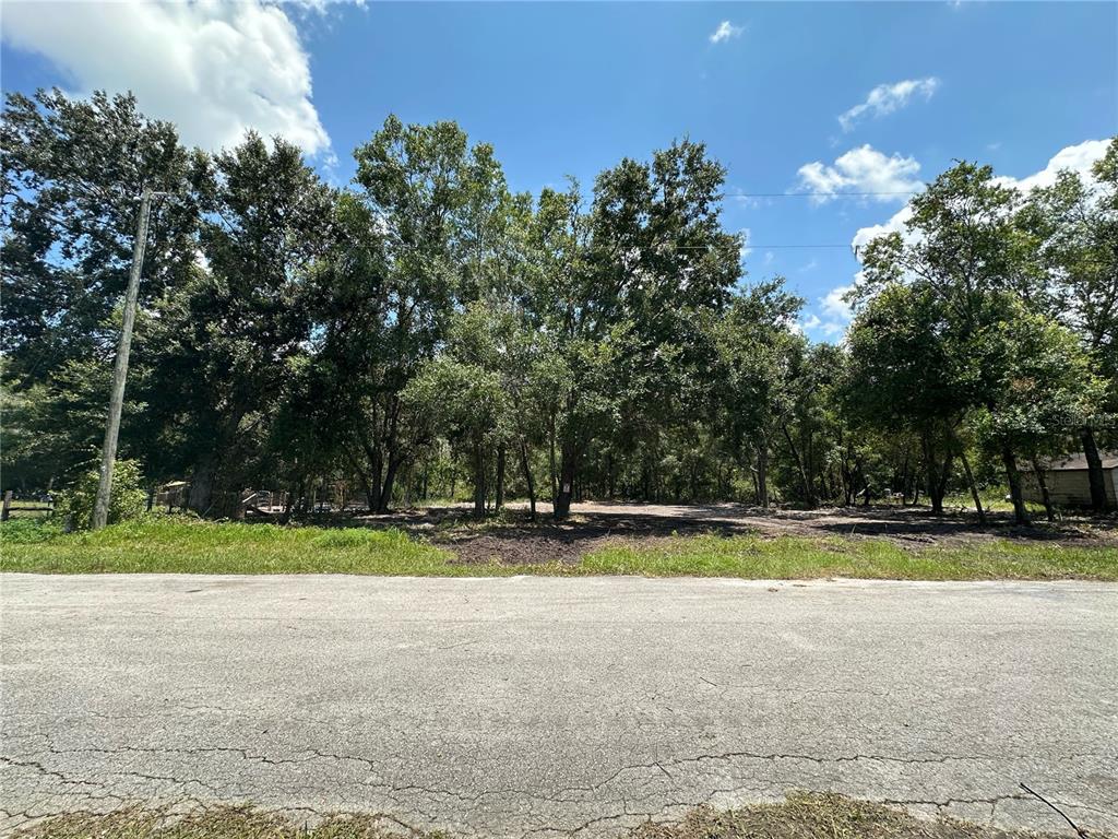 0 St Johns Road Land O Lakes, FL 34638 - Photo 1 of 1 Gallery Image 1