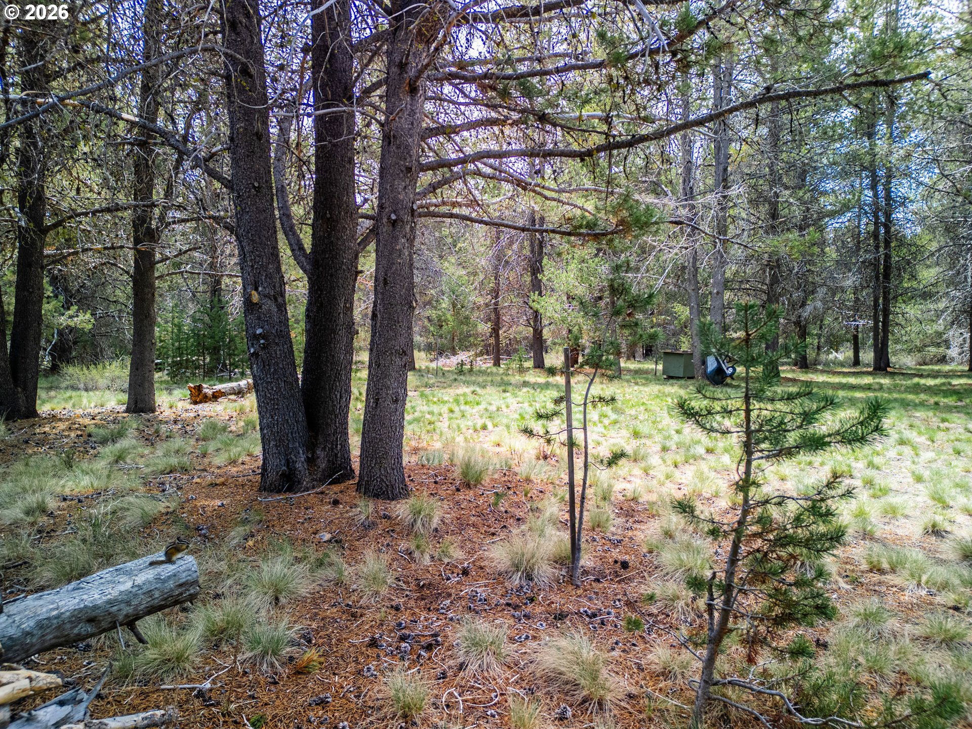 74750 Jager Street Chiloquin, OR 97624 - Photo 20 of 43