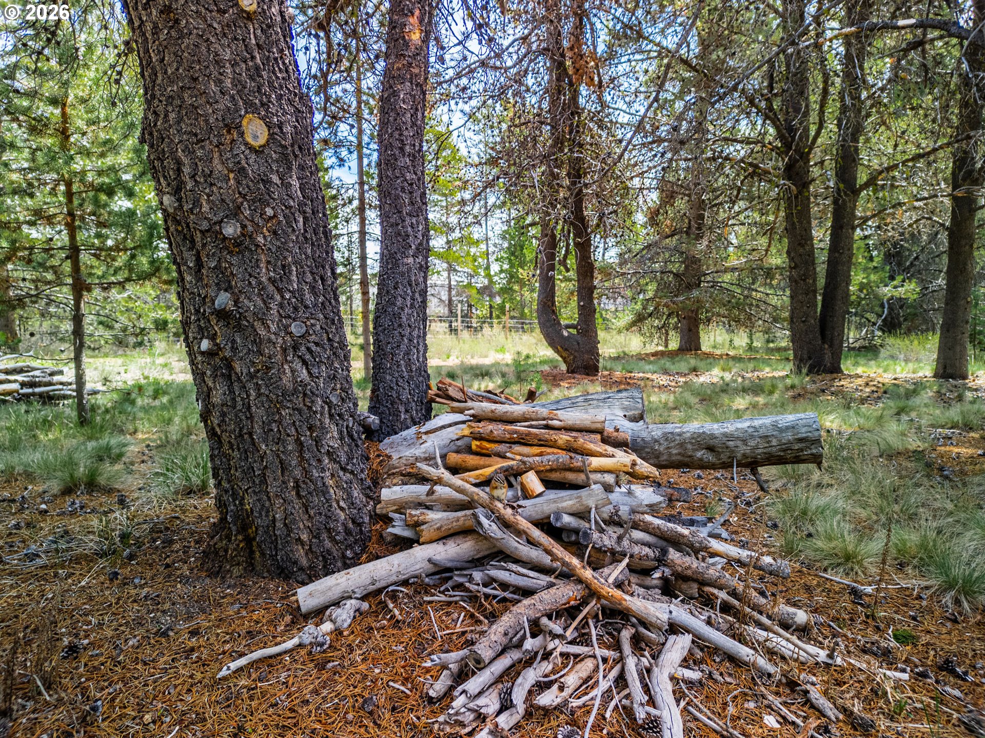 74750 Jager Street Chiloquin, OR 97624 - Photo 22 of 43