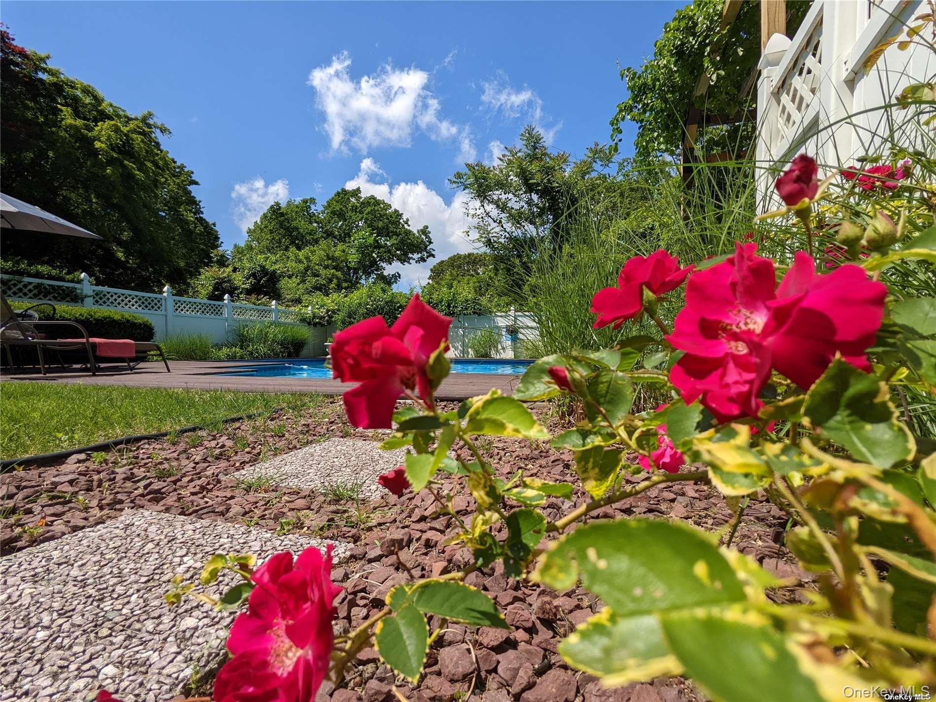 126 Overhill Road Wading River, NY 11792 - Photo 22 of 23 a view of a flower in a yard