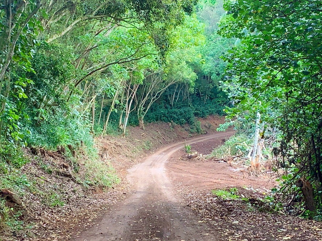Kahumoku Road, Unit 1 Lihue, HI 96766 - Photo 5 of 10