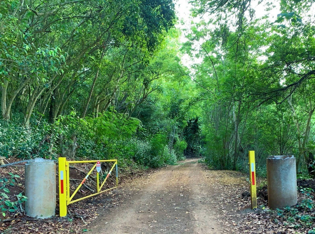 Kahumoku Road, Unit 1 Lihue, HI 96766 - Photo 6 of 10
