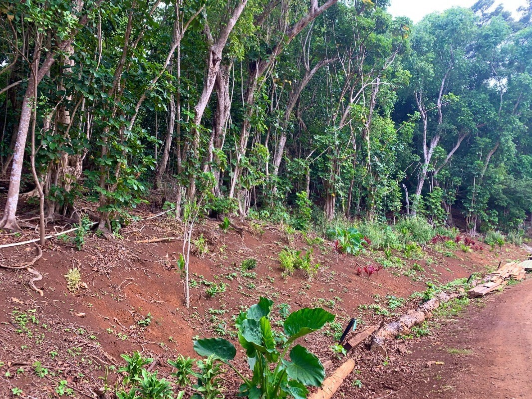 Kahumoku Road, Unit 1 Lihue, HI 96766 - Photo 9 of 10
