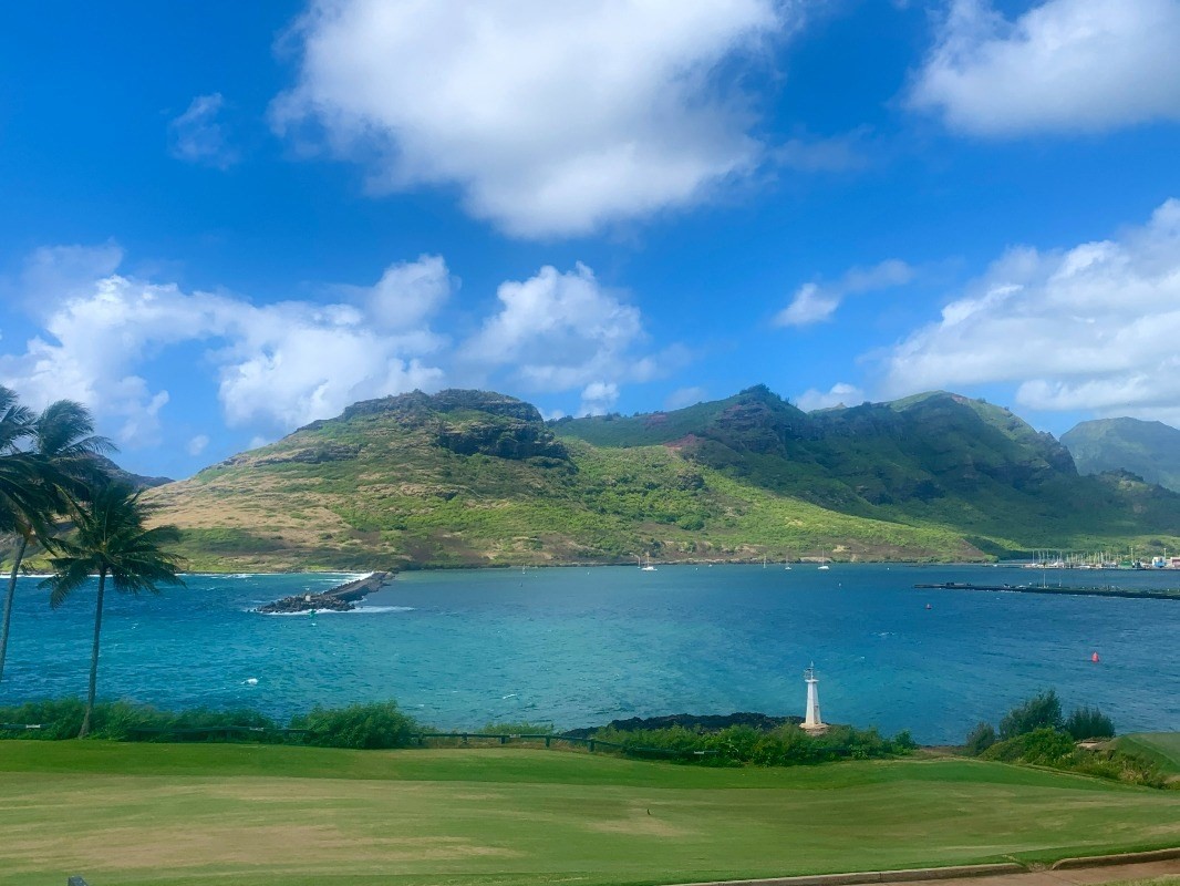 Kahumoku Road, Unit 1 Lihue, HI 96766 - Photo 10 of 10