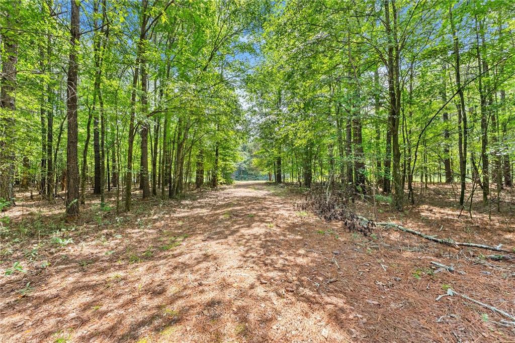 1097 Doster Road Jefferson, GA 30549 - Photo 23 of 36 Gallery Image 23