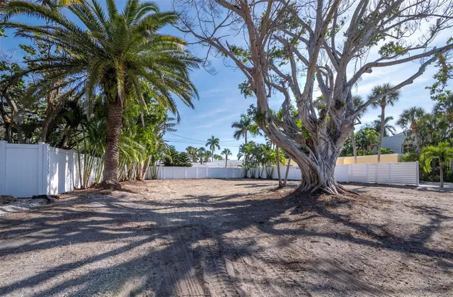 a view of backyard with tree
