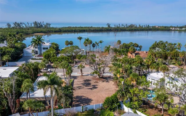 a body of water with a tree in the background