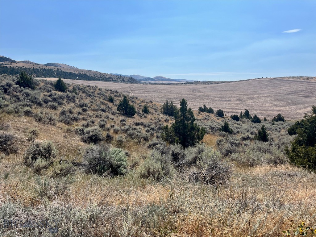 Three Homestead Road Three Forks, MT 59752 - Photo 2 of 9 Gallery Image 2
