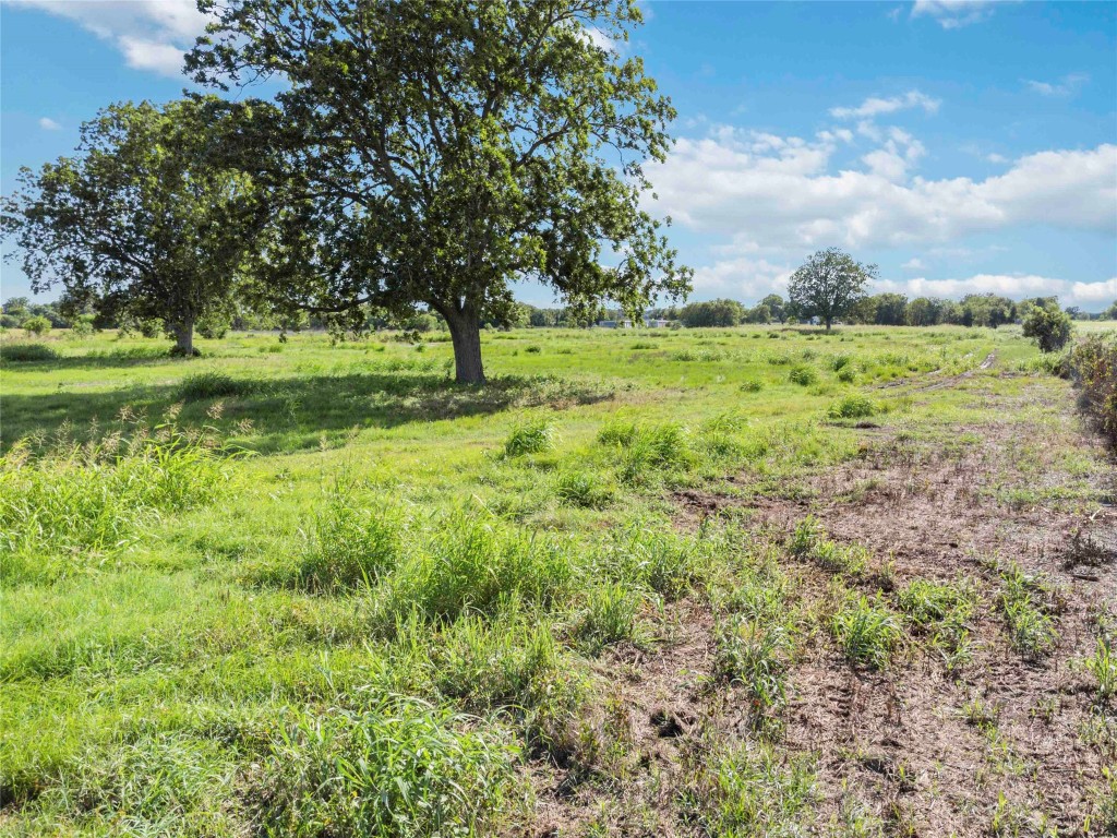 660 American Legion Road Smithville, TX 78957 - Photo 4 of 19