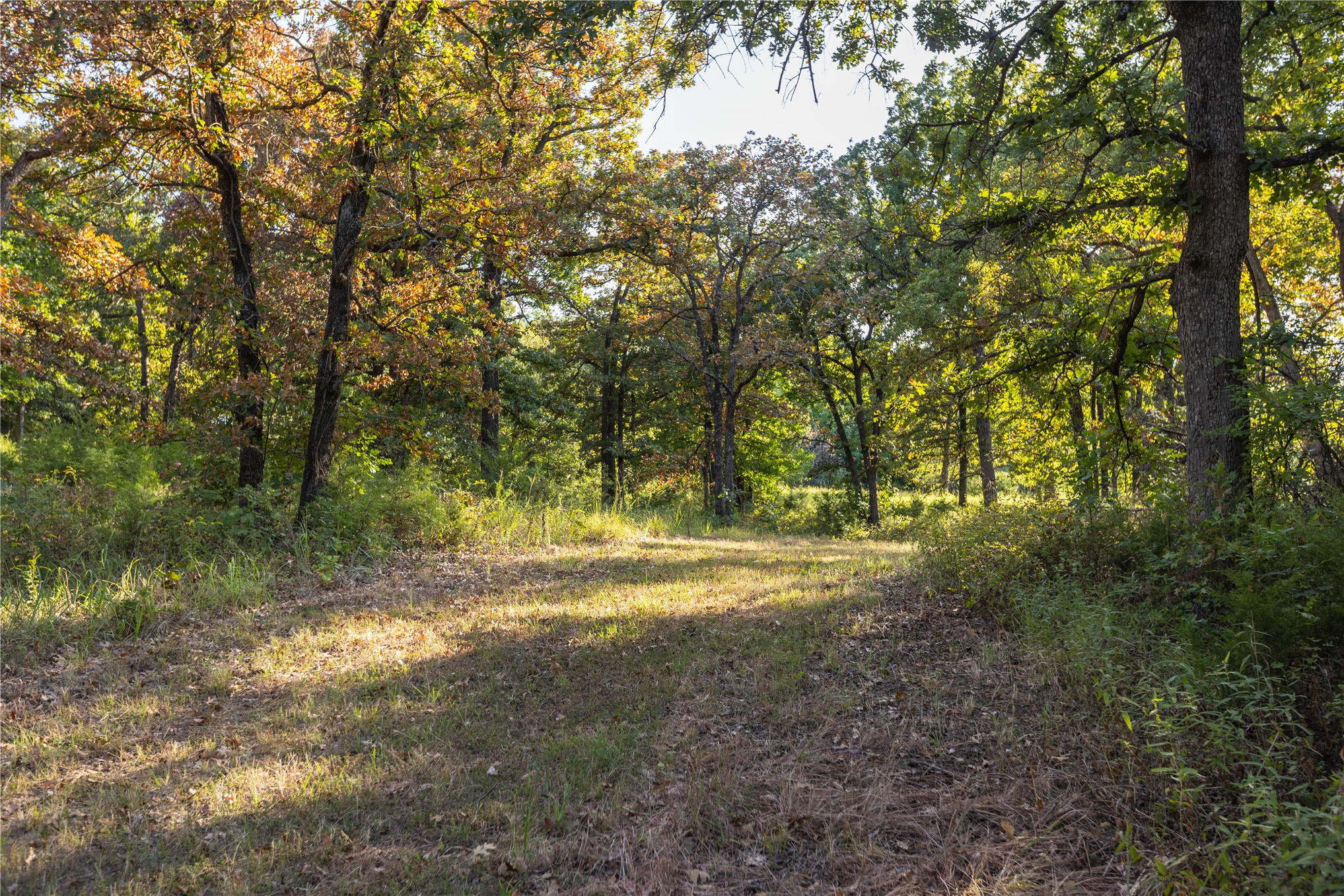 0 West Dunkin Road Cushing, OK 74023 - Photo 43 of 62 Wooded property with mature trees and natural ground cover