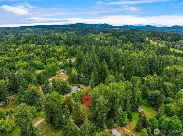 a view of a lush green forest with lots of trees