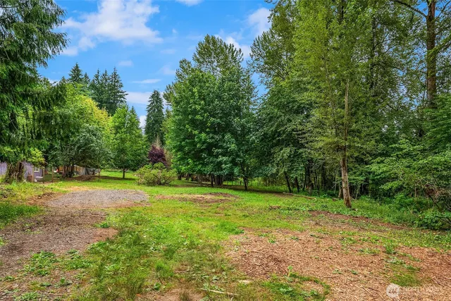 a view of a field with trees in the background
