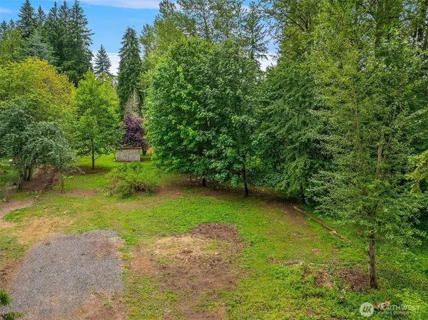 a view of a trees in a yard