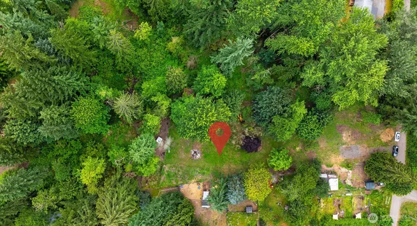 a view of a lush green forest