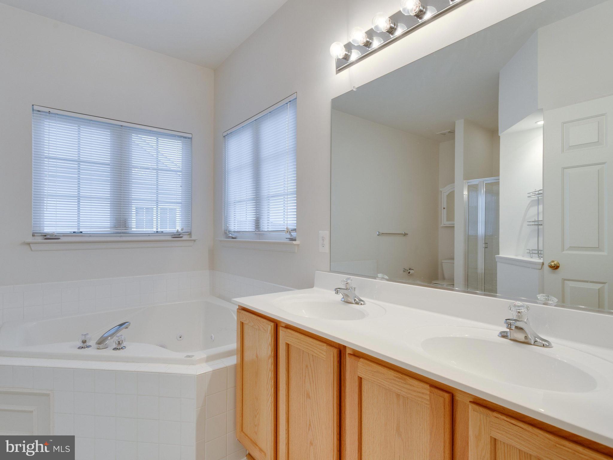 18411 Thundercloud Road Boyds, MD 20841 - Photo 17 of 30 a bathroom with a sink and a mirror
