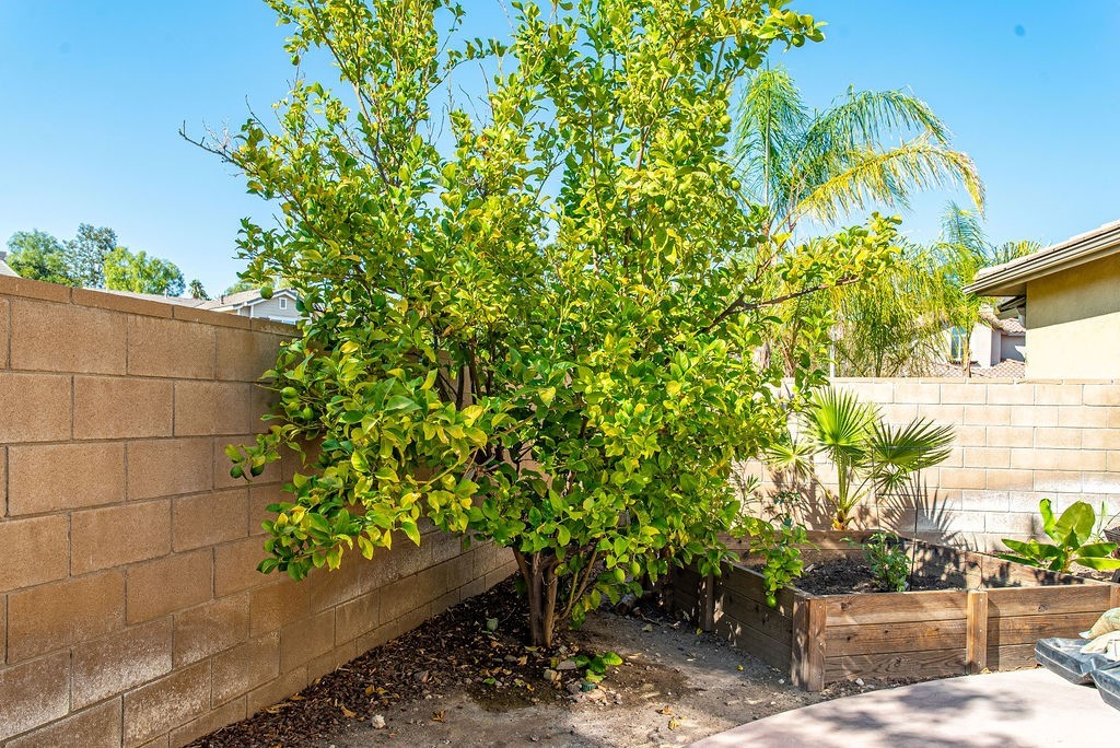 25054 Oliver Way Stevenson Ranch, CA 91381 - Photo 41 of 53 a plant view