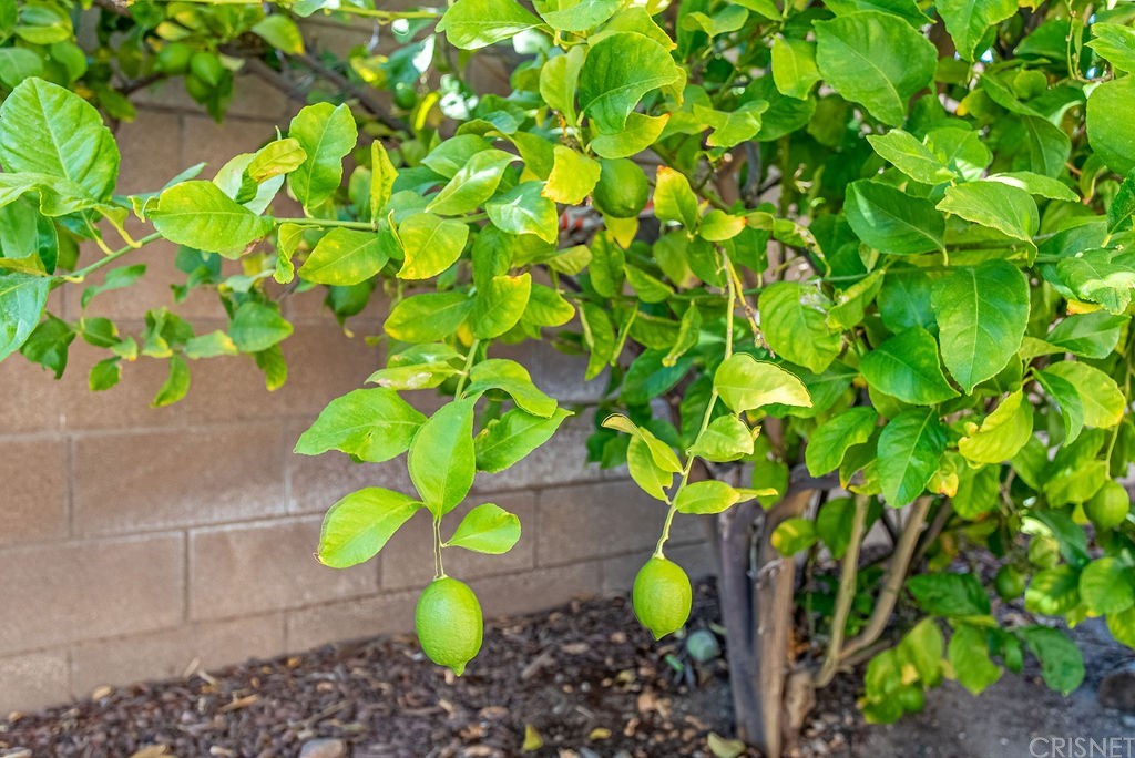 25054 Oliver Way Stevenson Ranch, CA 91381 - Photo 44 of 53 a view of a yard with a fire pit