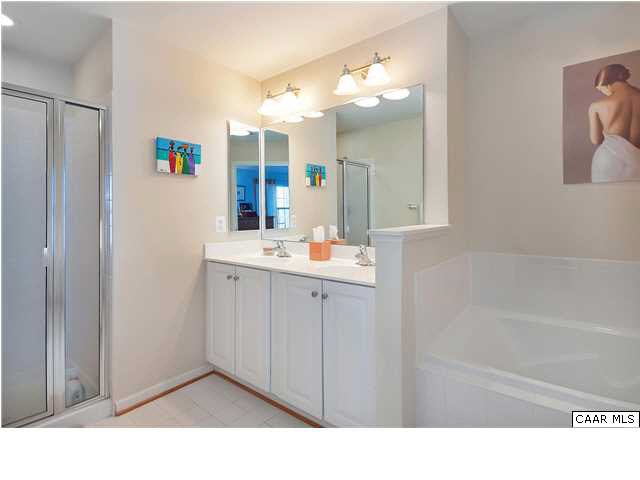 923 Rainier Road Charlottesville, VA 22903 - Photo 13 of 18 Gallery Image 13