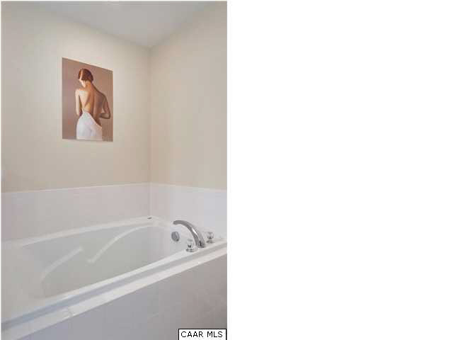 923 Rainier Road Charlottesville, VA 22903 - Photo 14 of 18 Gallery Image 14