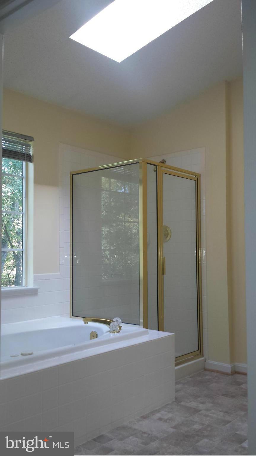 2139 Blue Knob Terrace Silver Spring, MD 20906 - Photo 15 of 21 Bath (Master)