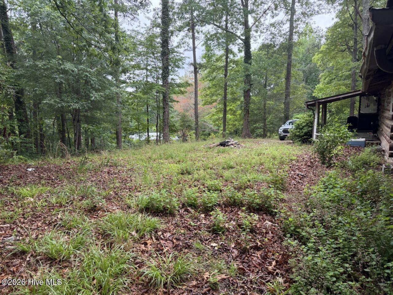 274 Snow Hill Ridge Road Murphy, NC 28906 - Photo 6 of 30