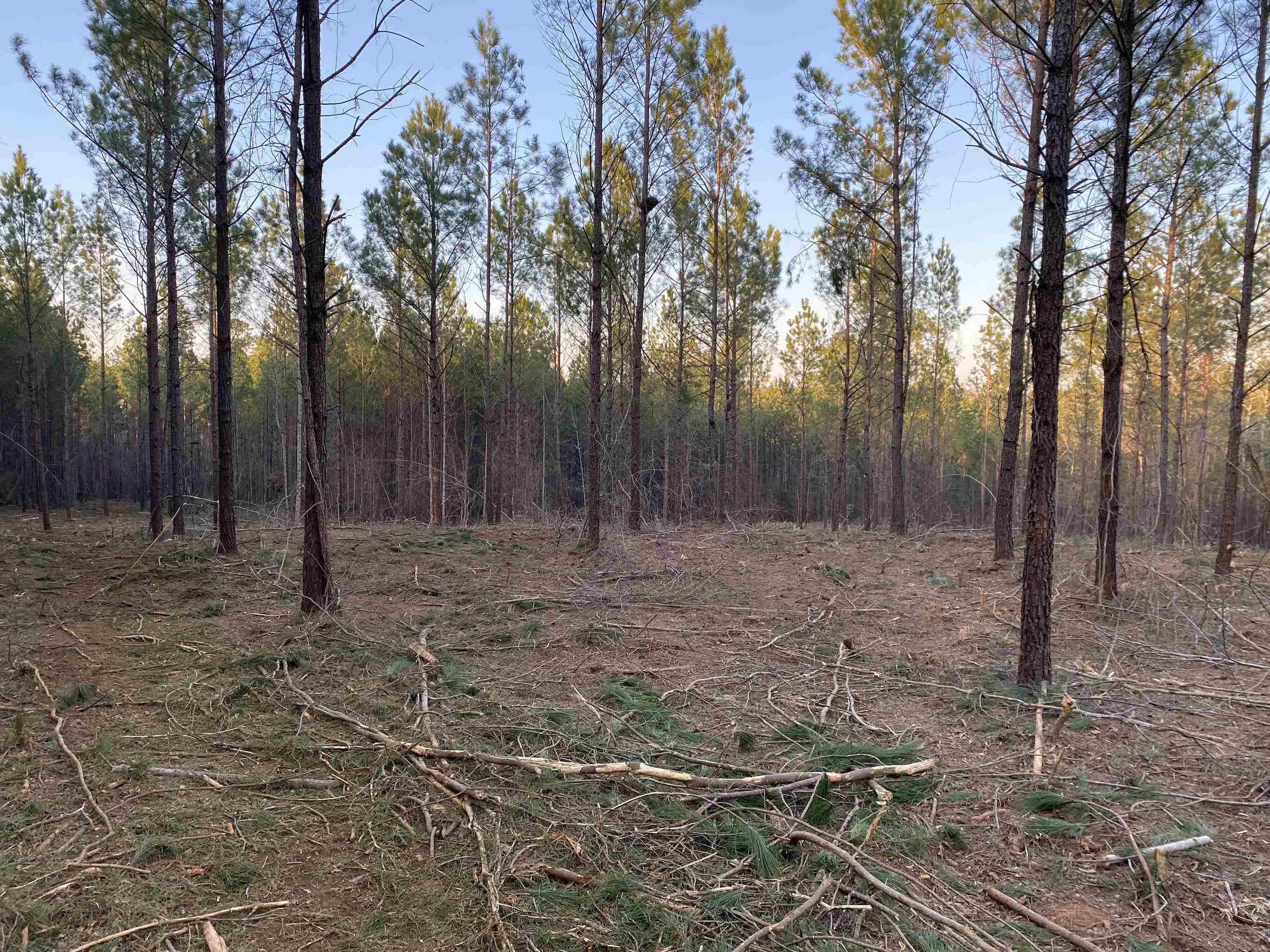 914 Edge Road Forsyth, GA 31029 - Photo 2 of 9