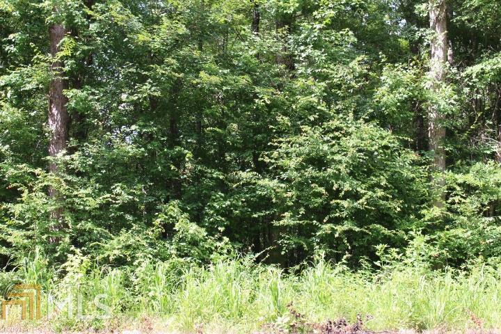 0 Joe Stephens Road, Unit 19 Franklin, GA 30217 - Photo 1 of 1