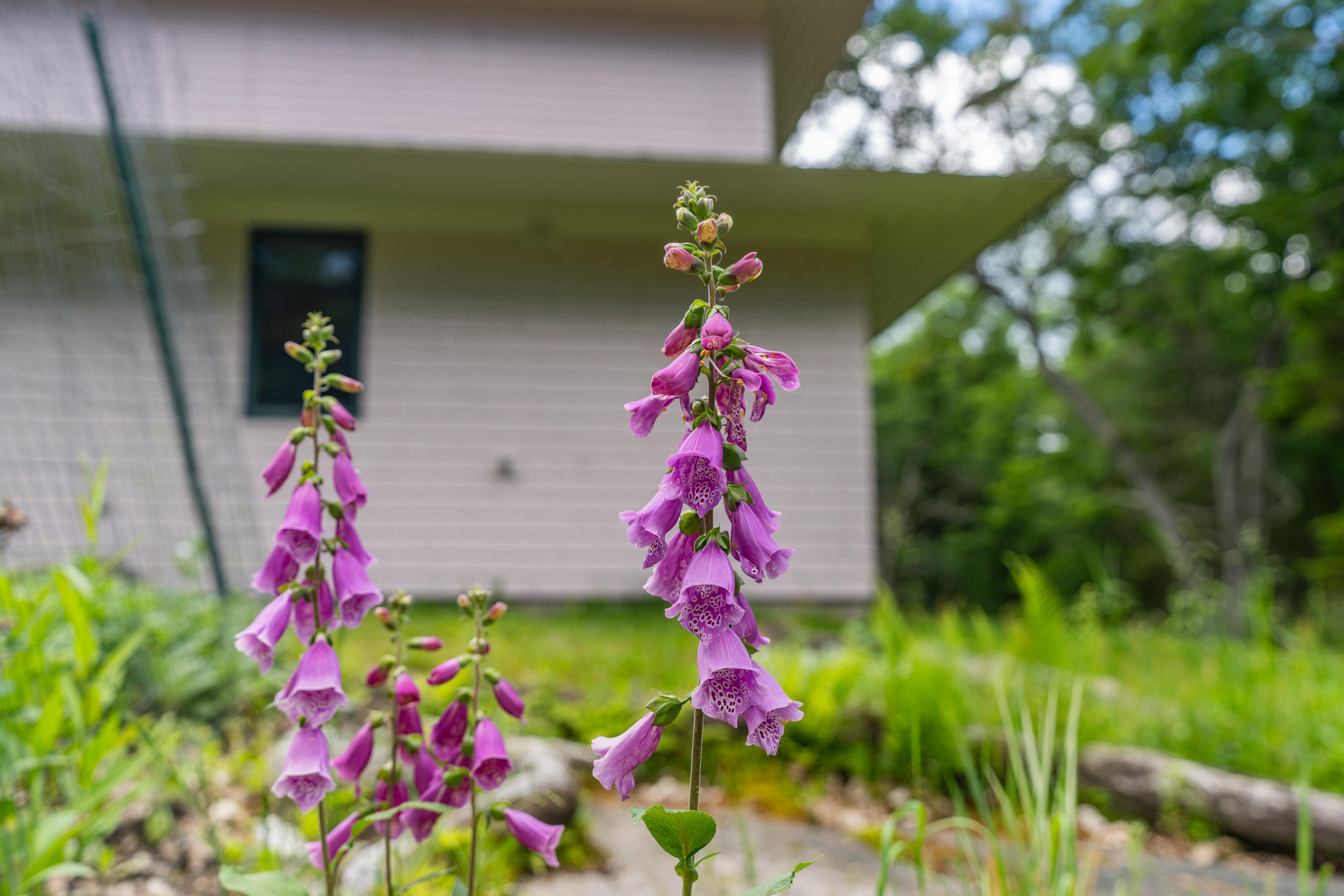 52 Oak Run Road Westport Island, ME 04578 - Photo 154 of 200